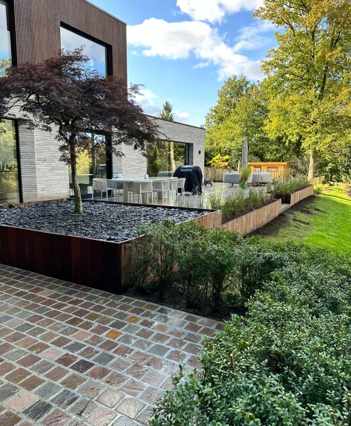 494358852_1185932253543694_5953648277955481863_n