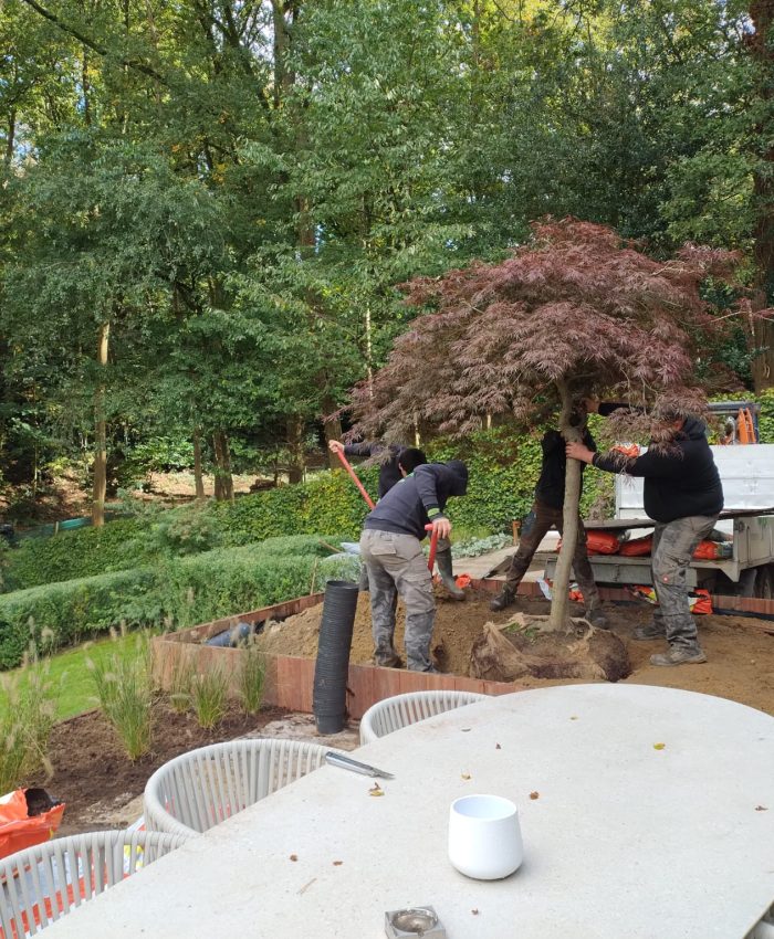 494507469_1185932333543686_5995161956292897883_n